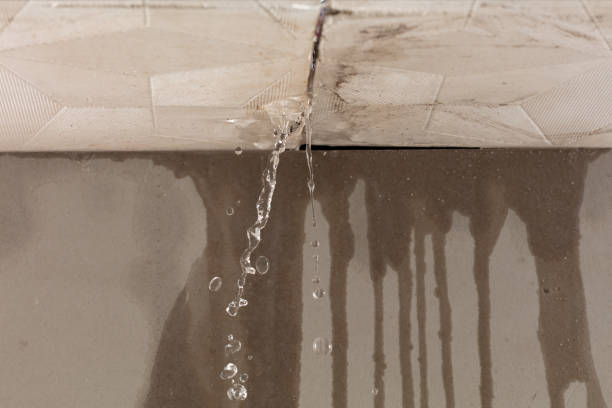 Professional Burst Pipe Cleanup technician working in Nichols, SC